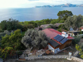 BlueSea Faralya -Mercan